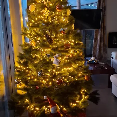 Apartamento Sabina In Callao Salvaje Costa Adeje (Tenerife)