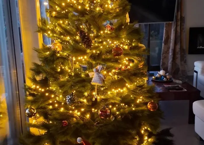 Appartement Sabina In Callao Salvaje Costa Adeje (Tenerife)